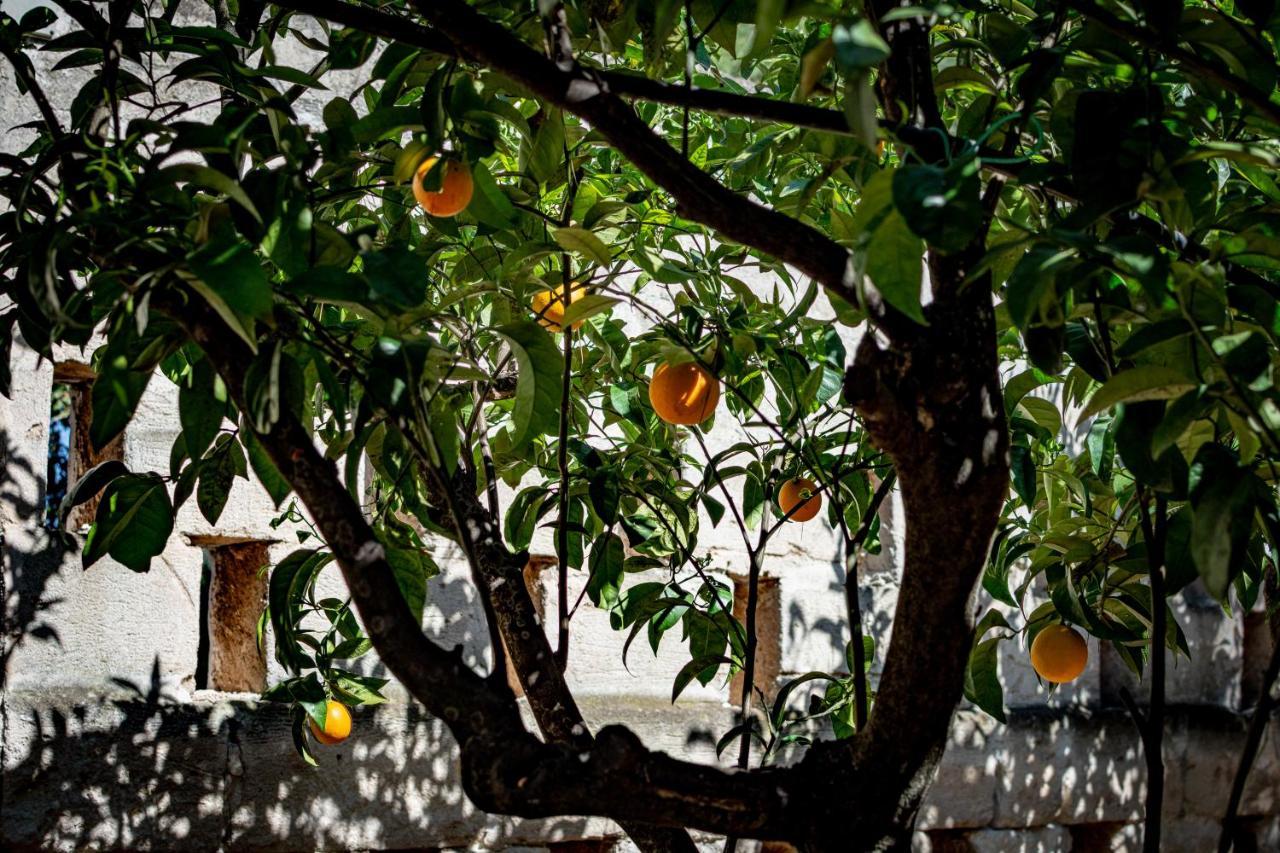Antica Casina B&B Di Charme Pulsano Buitenkant foto